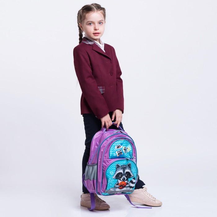 Рюкзак школьный с эргономической спинкой Calligrata Пиноккио 36x23x13 см для девочки, «Енот» 