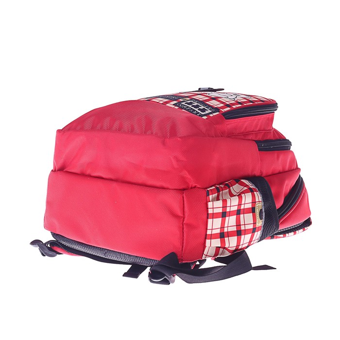 Рюкзак школьный с эргономической спинкой Luris Гармония 38x28x18 см для девочки, «Мишка» 