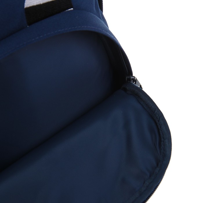 Рюкзак школьный Bruno Visconti, 40 х 30 х 16 см, эргономичная спинка, «Еноты», синий 