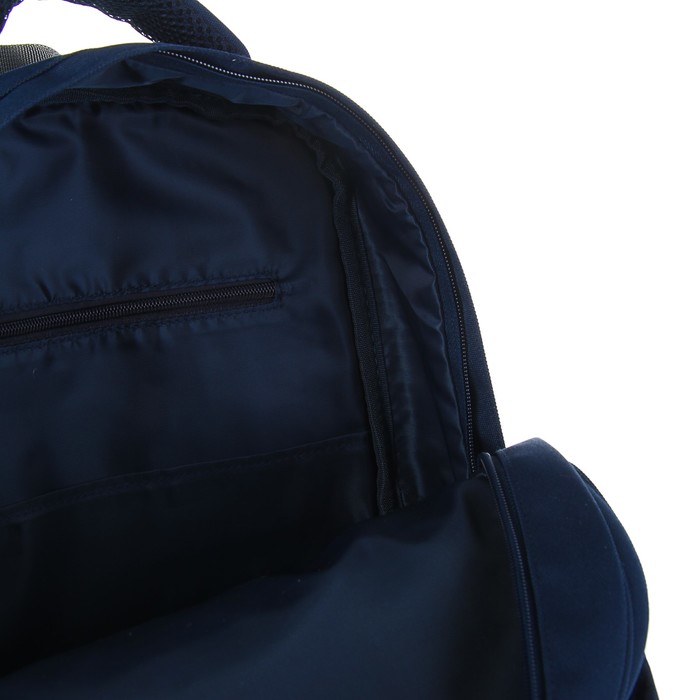 Рюкзак школьный Bruno Visconti, 40 х 30 х 16 см, эргономичная спинка, «Еноты», синий 