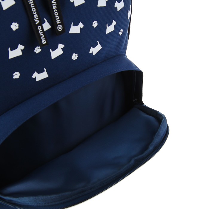 Рюкзак школьный Bruno Visconti, 40 х 30 х 16 см, эргономичная спинка, «Щеночек», синий 