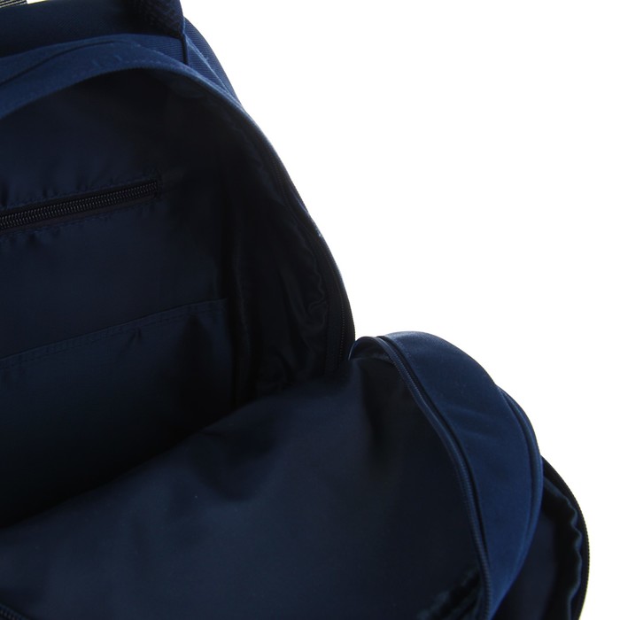 Рюкзак школьный Bruno Visconti, 40 х 30 х 16 см, эргономичная спинка, «Щеночек», синий 