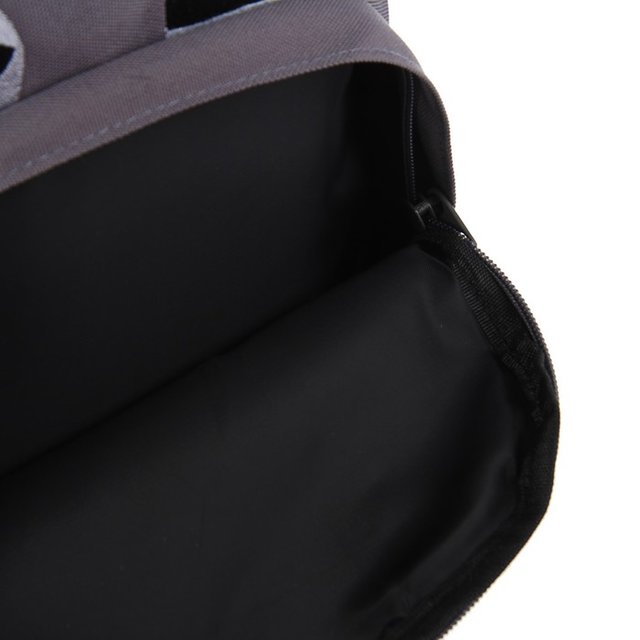 Рюкзак школьный Bruno Visconti, 40 х 30 х 16 см, эргономичная спинка, «Еноты», серый 
