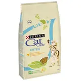 Сухой корм Cat chow Kitten для котят 15 кг