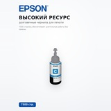 Чернила EPSON L100 Cyan ink bottle 70ml (C13T66424A) - фото 3