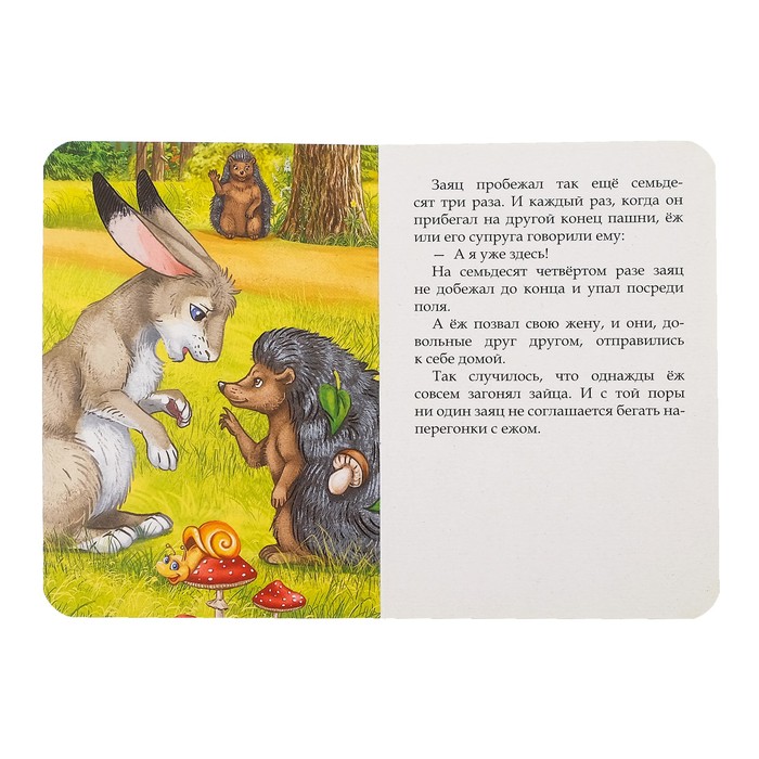Книга картонная "Заяц и ёж. Сказка братьев Гримм" 12 стр 