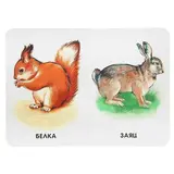 Двадцать две картинки «Любимые животные» 