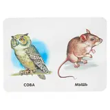 Двадцать две картинки «Любимые животные»  - фото 4