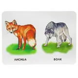 Двадцать две картинки «Любимые животные»  - фото 5