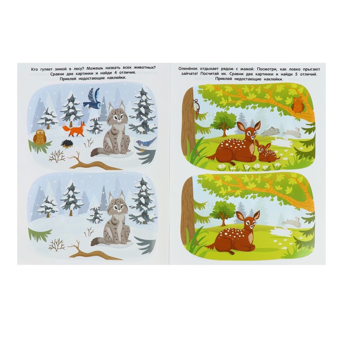Развивающая книжка с многоразовыми наклейками «В лесу» 