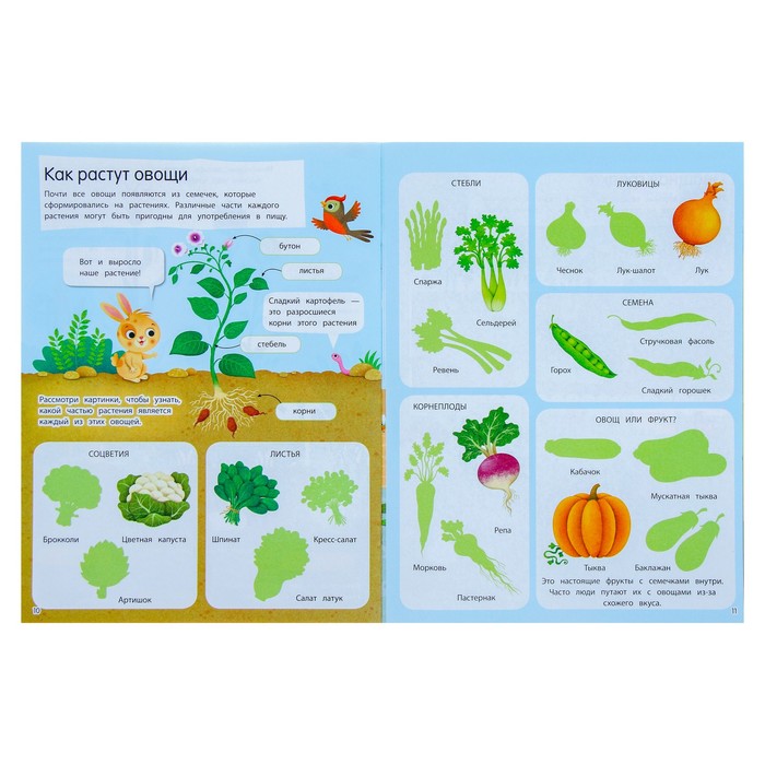 Книжка с наклейками «Фрукты и овощи» 