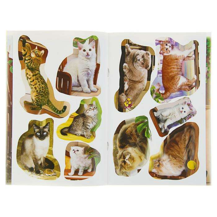Книжка с наклейками «Кошки», 160 x 240 мм 
