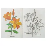 Раскраски для детей 2-4 лет «Садовые цветы»  - фото 3