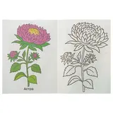 Раскраски для детей 2-4 лет «Садовые цветы»  - фото 4