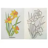 Раскраски для детей 2-4 лет «Садовые цветы»  - фото 5