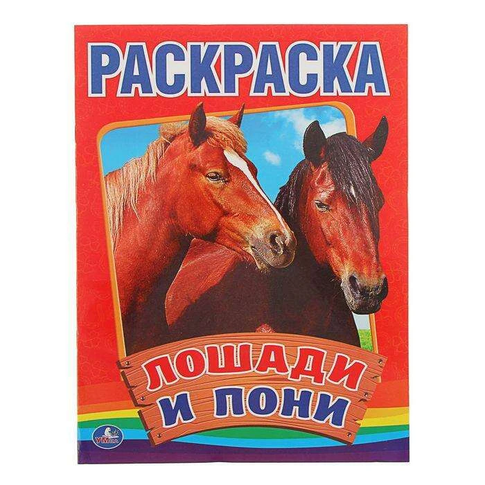 Раскраска «Лошади и пони» "Лошади и пони"