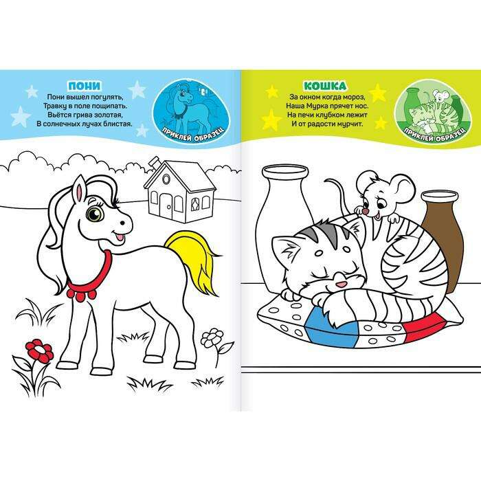 Раскраска с наклейками «Домашние животные» 