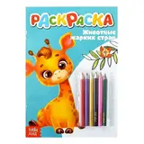 Раскраска с карандашами «Животные жарких стран», 16 стр. 