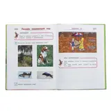 Годовой курс подготовки к школе: для одарённых детей 6-7 лет. Липская Н. М.  - фото 3