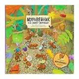 Муравейник. Как живут муравьи? Петрикова Ж. 