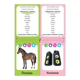 Обучающая книга «Логопедические картинки. Звук Л»  - фото 3