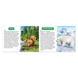 Обучающая книжка «Животные России», 18 животных  - фото 3