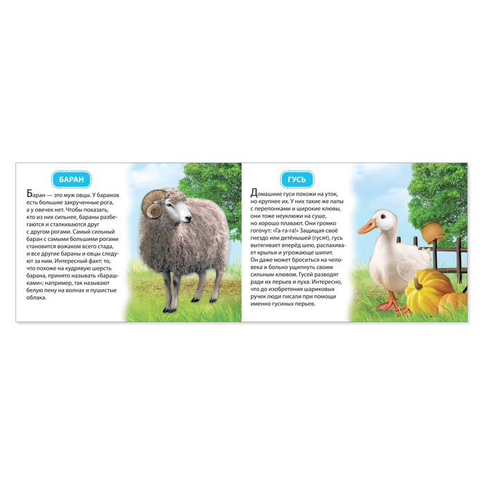 Обучающие книжки набор 6 шт. «Узнаём про всё вокруг», 108 животных и птиц 