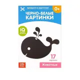 Обучающая книжка «Черно-белые картинки. Животные», 20 страниц 
