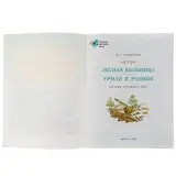 Лесная больница. Урман и родник. Пажетнов В. С.  - фото 3