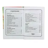 Урфин Джюс и его деревянные солдаты. Волков А. М.  - фото 5