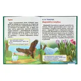 Чтение после букваря. Жукова М. А.  - фото 4