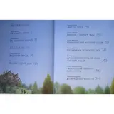 Ветер в ивах. Грэм К.  - фото 3