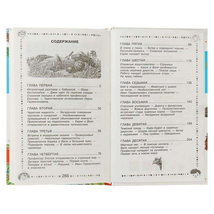 Не обыкновенные приключения карлика и впли. Необыкновенные приключения карика и вали содержание. Яна ларри «необыкновенные приключения карика и вали». Необыкновенные приключения карика и вали ян ларри книга. Приключения карика и вали.