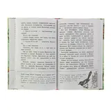 Кладовая солнца. Пришвин М. М.  - фото 5