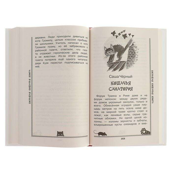 Большие кошки книга. Большая Кошачья книга. Большая Кошачья книга содержание. Тайны большого кота книга. Большая Кошачья книга АСТ.
