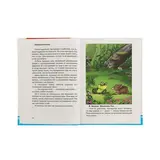 Внеклассное чтение. 3 класс 