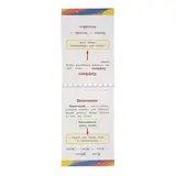 Все правила русского языка для начальной школы 