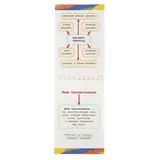 Все правила русского языка для начальной школы  - фото 3