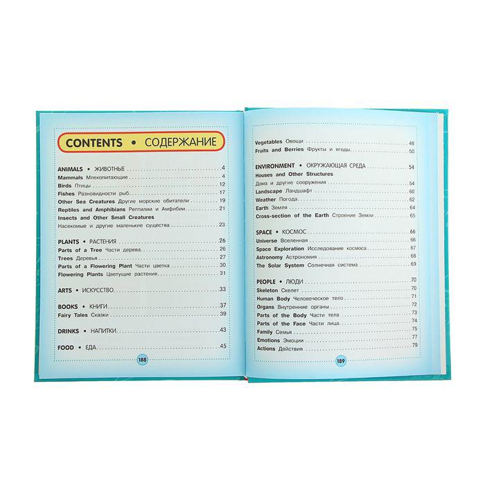 Англо-русский визуальный словарь для детей 