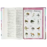 Французско-русский — русско-французский словарь с иллюстрациями для школьников  - фото 3