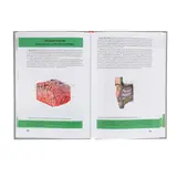 Атлас анатомии человека. Самусев Р. П.  - фото 4