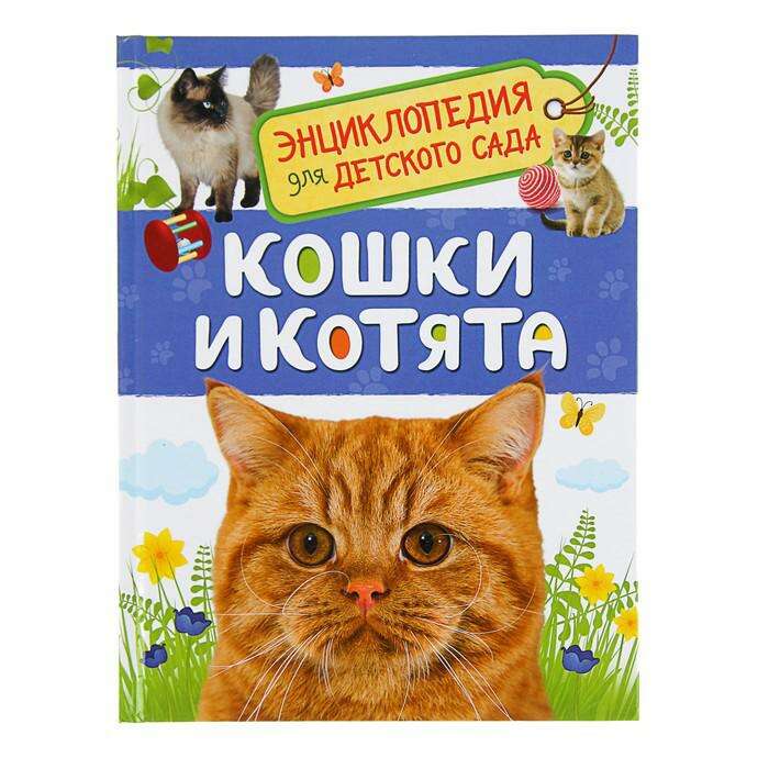 Энциклопедия для детского сада «Кошки и котята» 