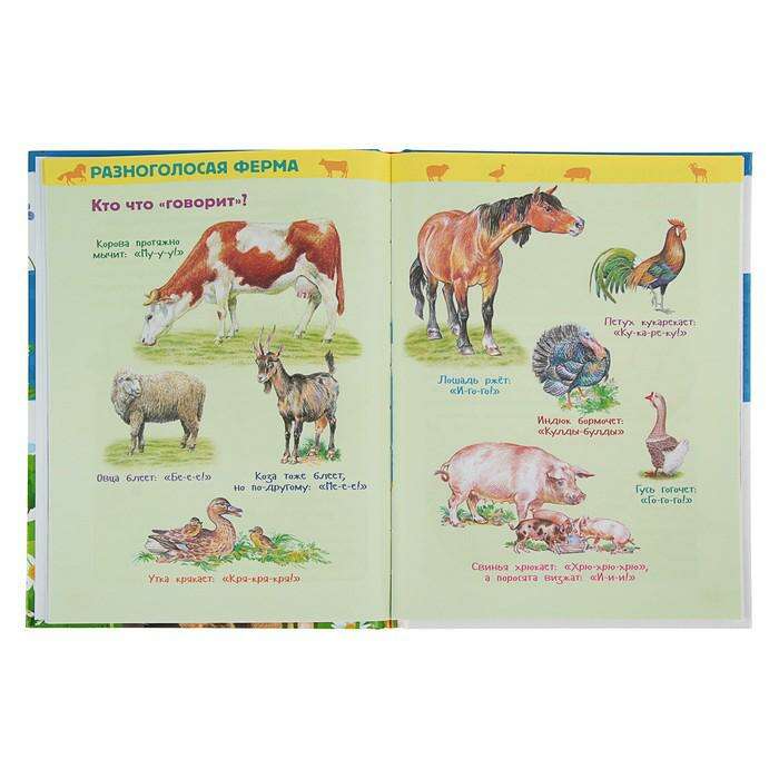 Энциклопедия для детского сада «Животные фермы» 