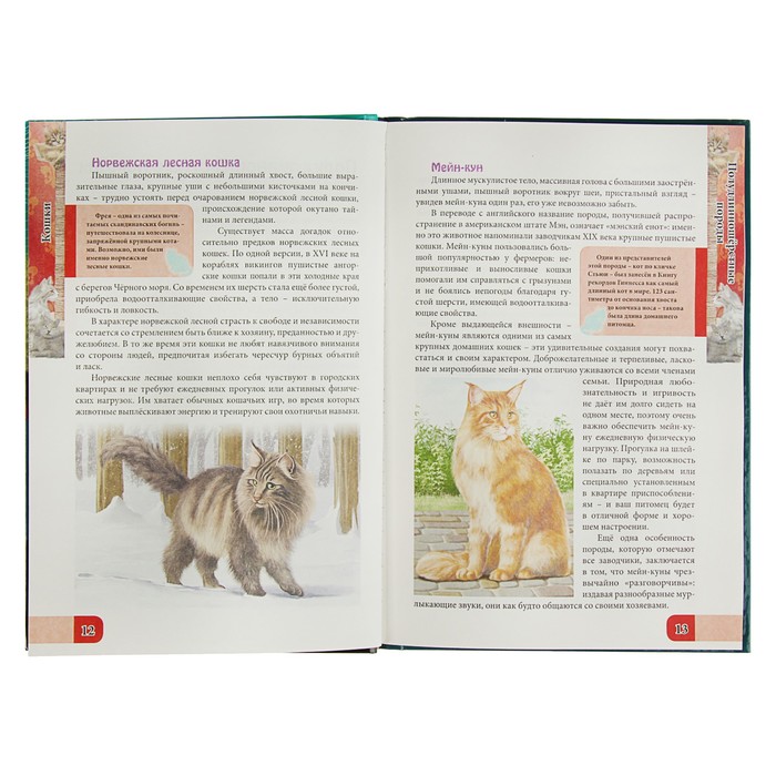 Энциклопедия « Всё о кошках» 