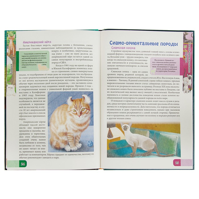 Энциклопедия « Всё о кошках» 