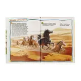 Энциклопедия для детей «Лошади и пони»  - фото 4