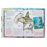 Энциклопедия для детей «Акулы»  - фото 2