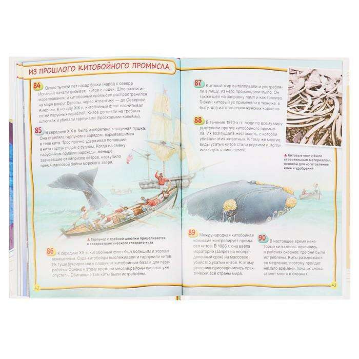 Энциклопедия для детей «Киты и дельфины» 