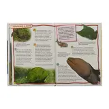 Энциклопедия для детей «Ночные животные»  - фото 2