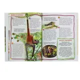 100 фактов «Животные»  - фото 2